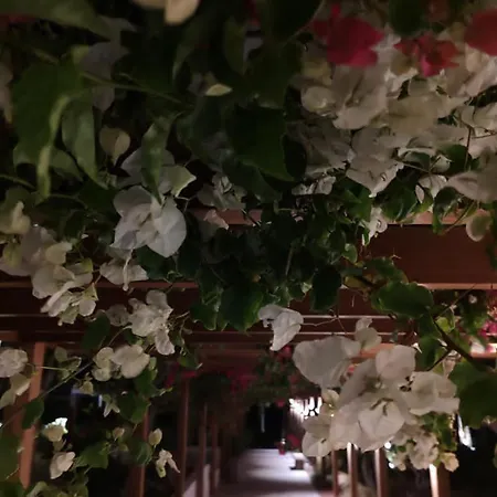 Stamenkovic アパート *